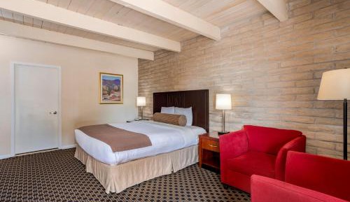 King Room with Roll-In Shower - Disability Access