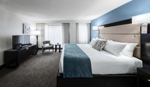 Deluxe King Room