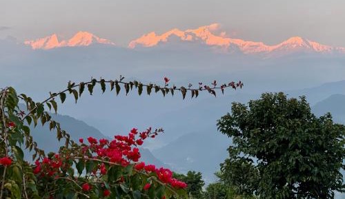 Standard Twin Room with Mountain View
