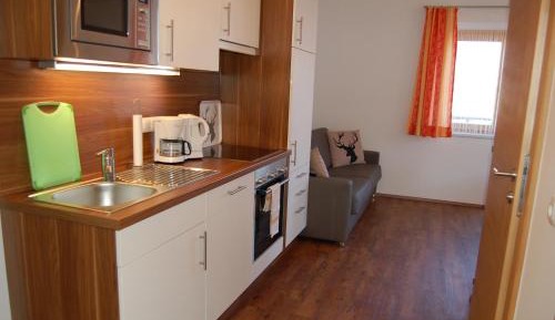 Comfort One-Bedroom Apartment with Balcony and Mountain View