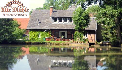Apartment with Lake View