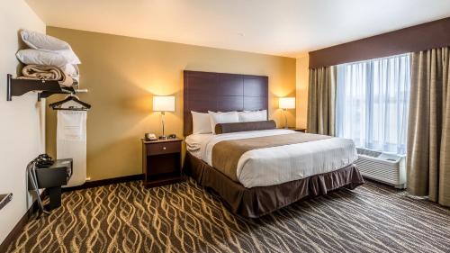 One-Bedroom Suite