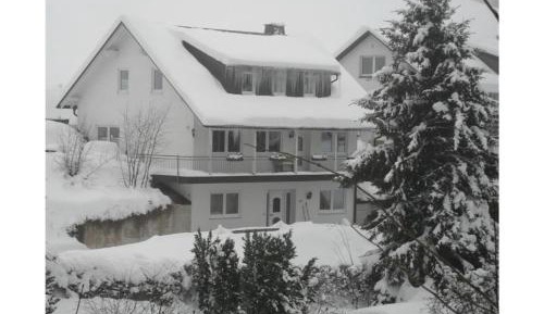Two-Bedroom Apartment with Terrace