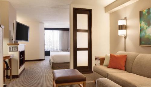 King Room with Sofa Bed and Roll-In Shower - Disability Access