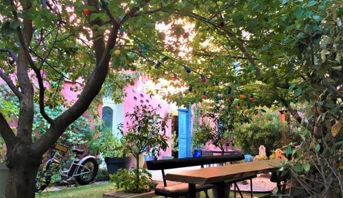 Double Room with Garden