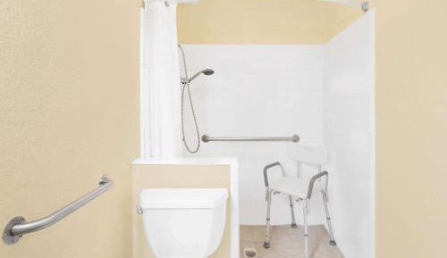 1 King Bed, Mobility Accessible Room, Roll-In Shower, Non-Smoking