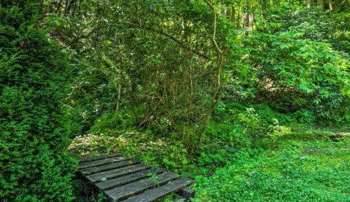 Silvermine Hideaway Cabin