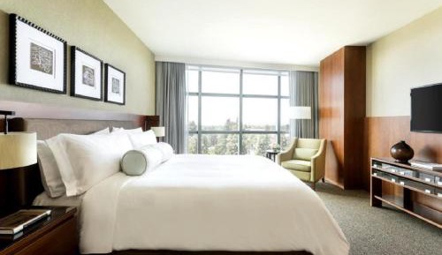 Luxury King Suite