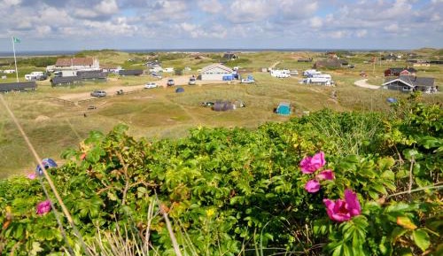 Empty lot - Tent Site incl. electricity (Bring your own tent)