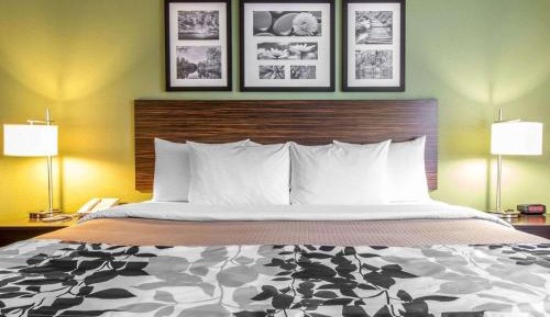 King Room - Accessible/Non-Smoking