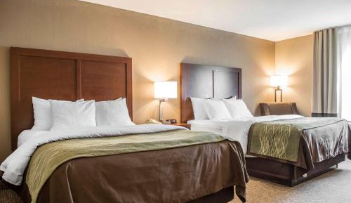 Queen Room with Two Queen Beds - Non-Smoking