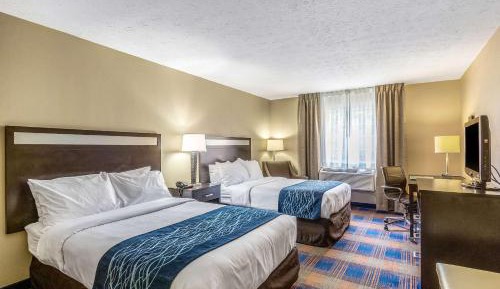 Superior Double Room with Two Double Beds - Non-Smoking
