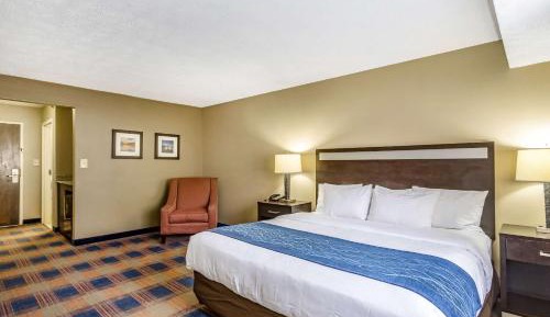 King Room with Roll-In Shower - Accessible/Non-Smoking