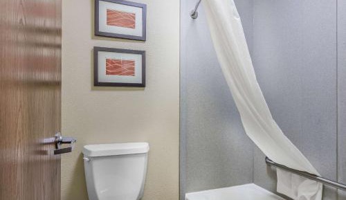 2 Queen Beds, 2 - Person Sofabed