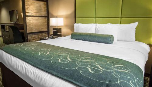 King Suite with Sofa Bed - Non-Smoking