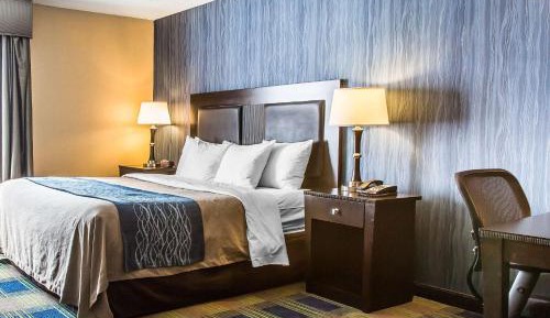 Business King Room