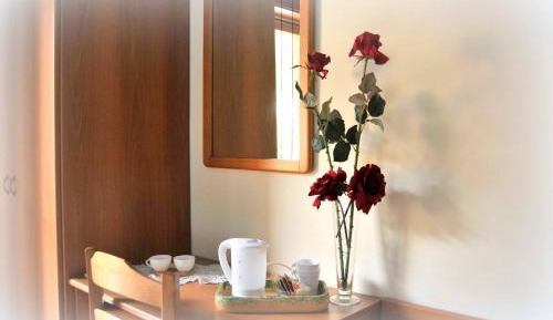 Standard Single Room with Shower