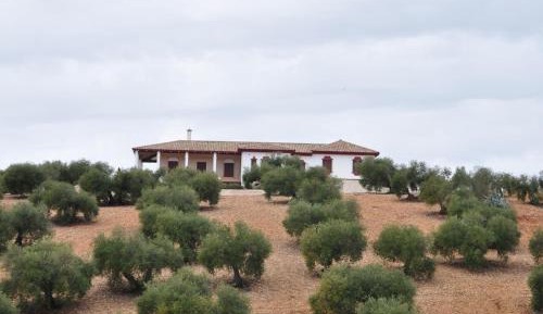 Five-Bedroom Villa