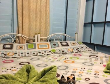 Twin Room with Air Conditioning and Shared Bathroom