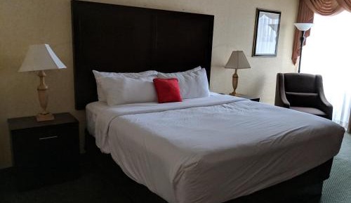 Standard King Room
