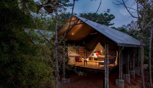 Luxury Tent Double Room (2 Adults Only)