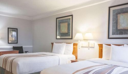 Double Room with Two Double Beds