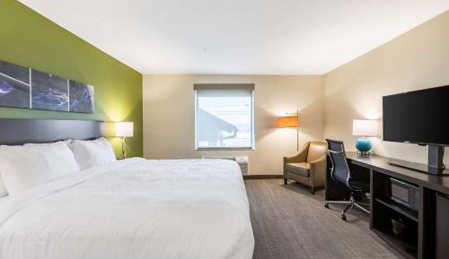 King Room - Non-Smoking