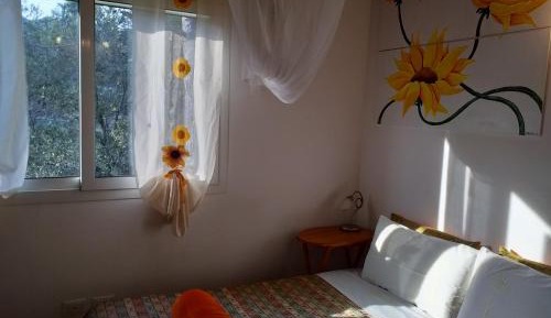 Studio with Garden View