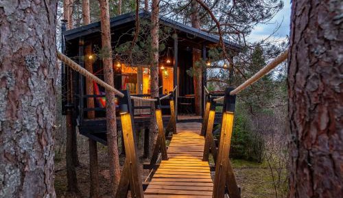 Forest Treehouse