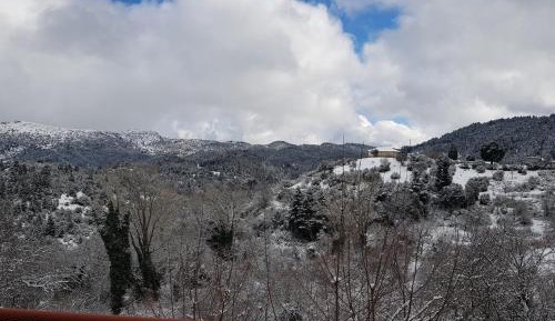 Deluxe Double or Twin Room with Mountain View
