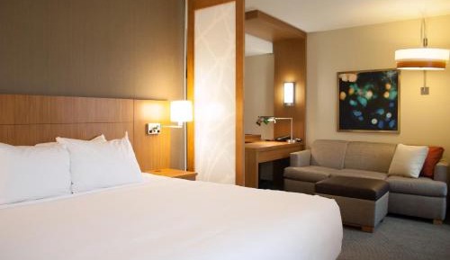 Standard King Room with Sofa Bed