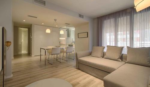 One Bedroom Apartment with sofa bed