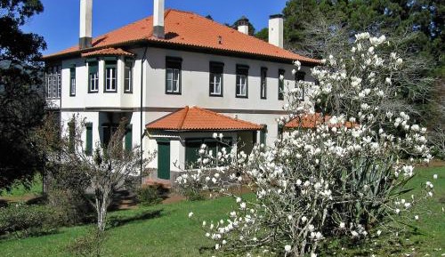 Four-Bedroom Villa