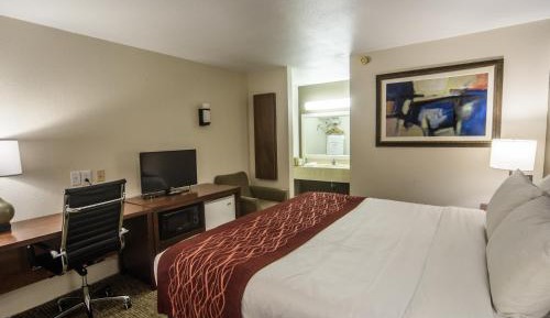 King Room with Roll-In Shower - Disability Access