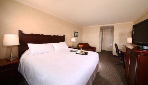 Executive Queen Room