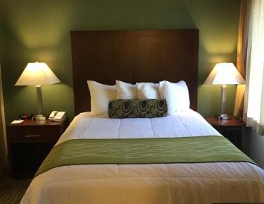 Queen Room with Sofa Bed - Disability Access/Non-Smoking