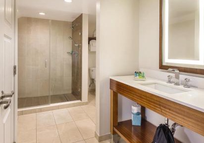 1 bedroom Suite