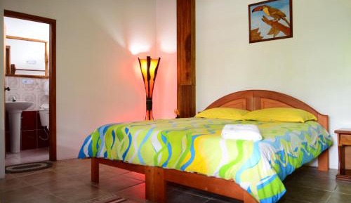 Superior Single Room