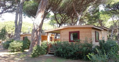Mobile Home (3 people)