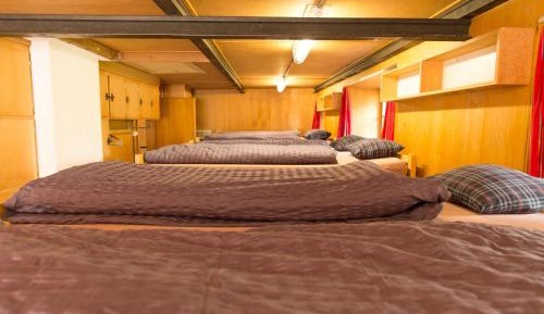 Bed in 16-Bed Mixed Dormitory Room 