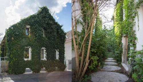Villa with Garden View
