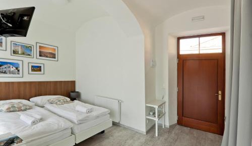 Double or Twin Room with Terrace and view