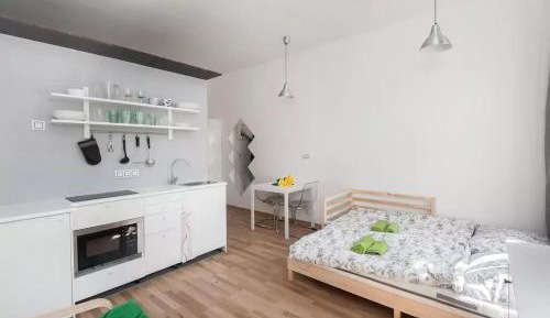 Apartment with Shower