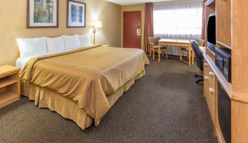 King Room - Pet Friendly/Non-Smoking
