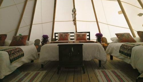 Teepee - Buffalo