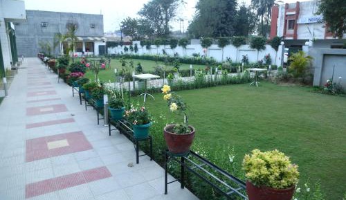 King Room with Garden View