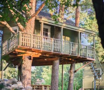 Treehouse