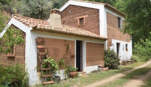 One-Bedroom Holiday Home