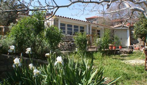 Studio with Garden View
