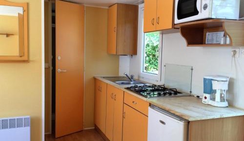 Mobile Home